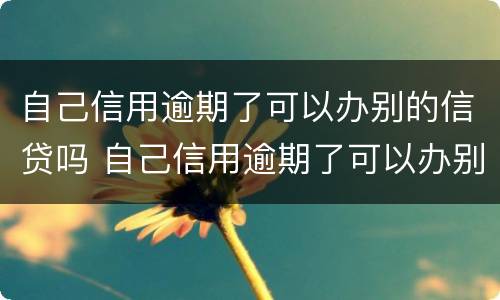 自己信用逾期了可以办别的信贷吗 自己信用逾期了可以办别的信贷吗