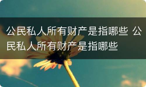 公民私人所有财产是指哪些 公民私人所有财产是指哪些