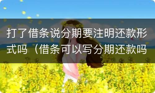 打了借条说分期要注明还款形式吗（借条可以写分期还款吗）
