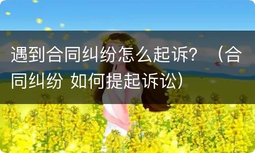 遇到合同纠纷怎么起诉？（合同纠纷 如何提起诉讼）