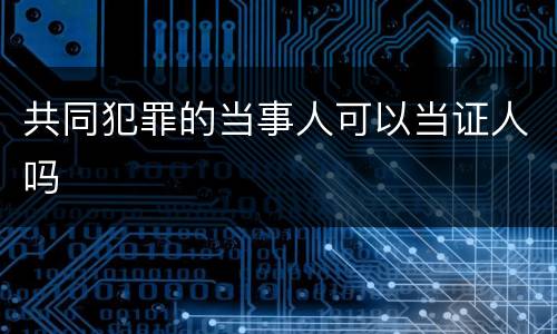 共同犯罪的当事人可以当证人吗
