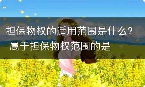 担保物权的适用范围是什么？ 属于担保物权范围的是