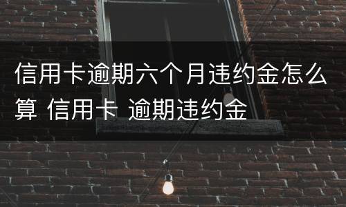 信用卡逾期六个月违约金怎么算 信用卡 逾期违约金