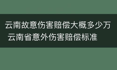 云南故意伤害赔偿大概多少万 云南省意外伤害赔偿标准
