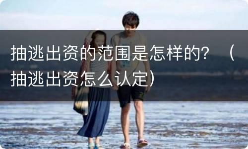 抽逃出资的范围是怎样的？（抽逃出资怎么认定）