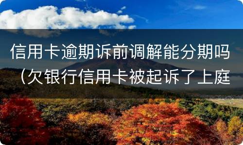 信用卡逾期诉前调解能分期吗（欠银行信用卡被起诉了上庭可以要求分期吗）