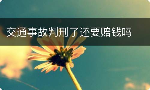 交通事故判刑了还要赔钱吗