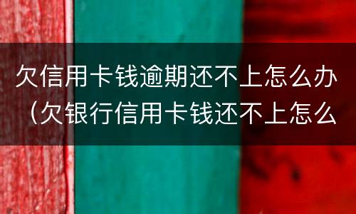 欠信用卡钱逾期还不上怎么办（欠银行信用卡钱还不上怎么办）