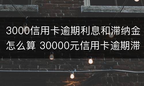 3000信用卡逾期利息和滞纳金怎么算 30000元信用卡逾期滞纳金一天怎么算