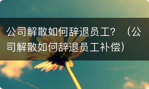 公司解散如何辞退员工？（公司解散如何辞退员工补偿）