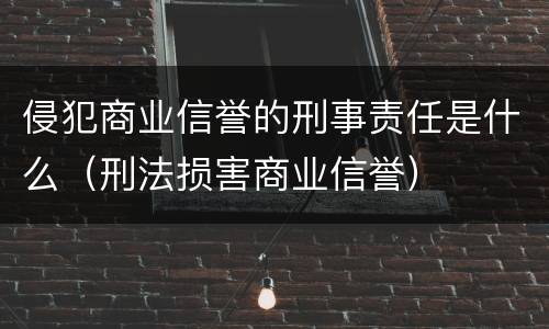 侵犯商业信誉的刑事责任是什么（刑法损害商业信誉）