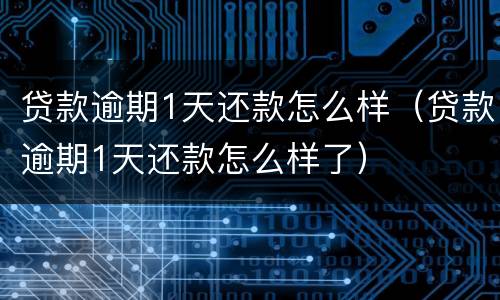 贷款逾期1天还款怎么样（贷款逾期1天还款怎么样了）