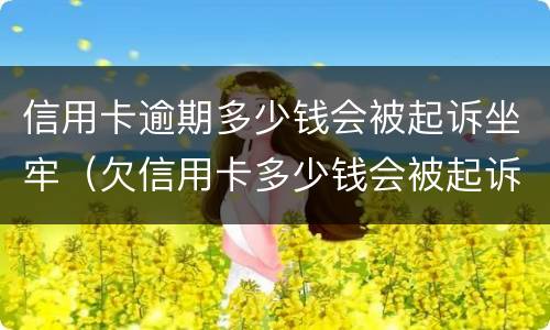 信用卡逾期多少钱会被起诉坐牢（欠信用卡多少钱会被起诉坐牢）