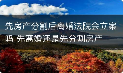 先房产分割后离婚法院会立案吗 先离婚还是先分割房产