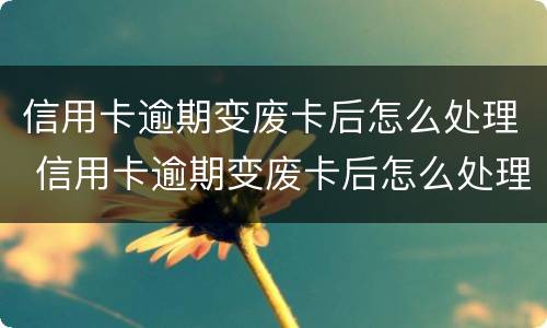 信用卡逾期变废卡后怎么处理 信用卡逾期变废卡后怎么处理方法