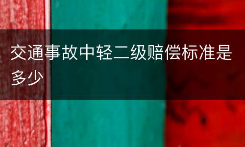 交通事故中轻二级赔偿标准是多少