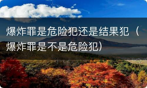 爆炸罪是危险犯还是结果犯（爆炸罪是不是危险犯）