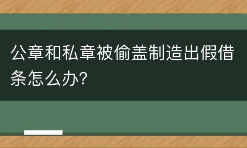 公章和私章被偷盖制造出假借条怎么办？