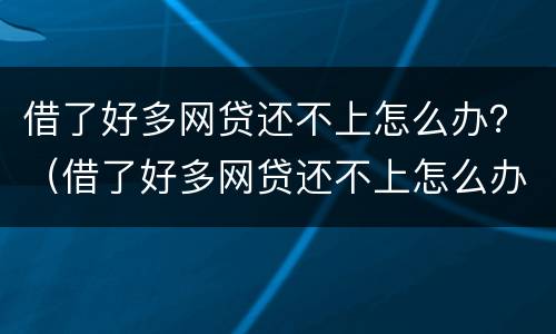 借了好多网贷还不上怎么办？（借了好多网贷还不上怎么办名下有房）