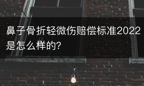 鼻子骨折轻微伤赔偿标准2022是怎么样的？
