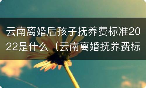 云南离婚后孩子抚养费标准2022是什么（云南离婚抚养费标准2020）