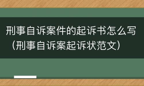 刑事自诉案件的起诉书怎么写（刑事自诉案起诉状范文）