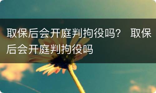 取保后会开庭判拘役吗？ 取保后会开庭判拘役吗