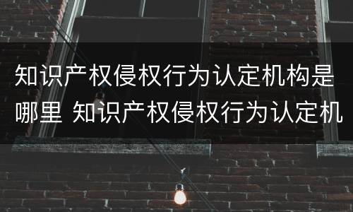 知识产权侵权行为认定机构是哪里 知识产权侵权行为认定机构是哪里的