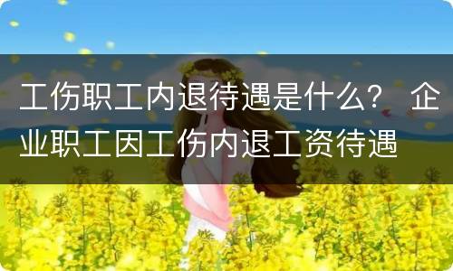 工伤职工内退待遇是什么？ 企业职工因工伤内退工资待遇