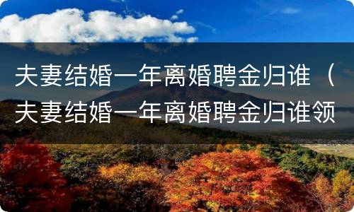 夫妻结婚一年离婚聘金归谁（夫妻结婚一年离婚聘金归谁领）