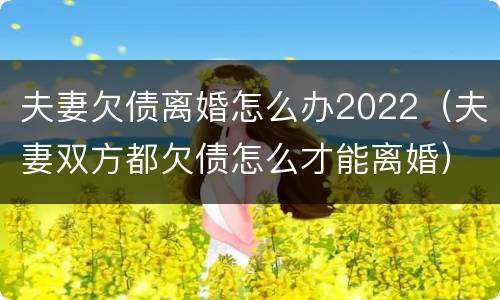 夫妻欠债离婚怎么办2022（夫妻双方都欠债怎么才能离婚）