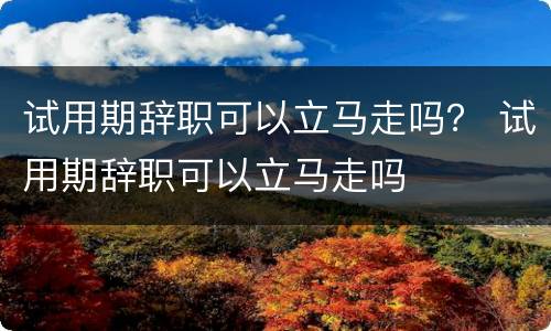 试用期辞职可以立马走吗？ 试用期辞职可以立马走吗