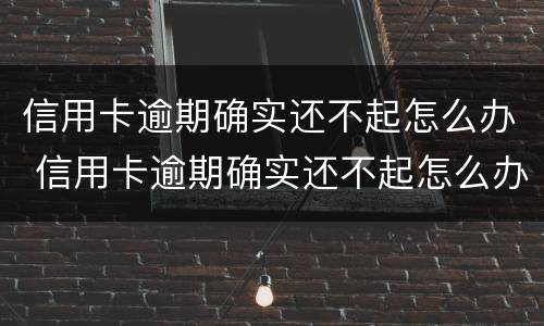 信用卡逾期确实还不起怎么办 信用卡逾期确实还不起怎么办理