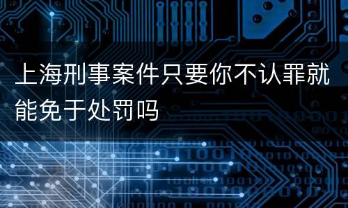 上海刑事案件只要你不认罪就能免于处罚吗