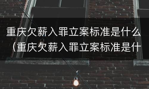 重庆欠薪入罪立案标准是什么（重庆欠薪入罪立案标准是什么呢）