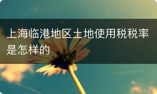 上海临港地区土地使用税税率是怎样的