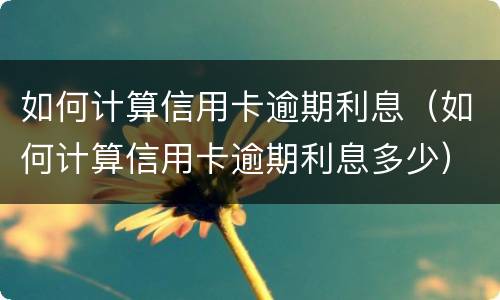 如何计算信用卡逾期利息（如何计算信用卡逾期利息多少）