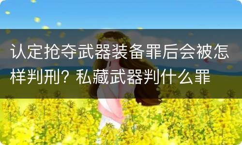 认定抢夺武器装备罪后会被怎样判刑? 私藏武器判什么罪