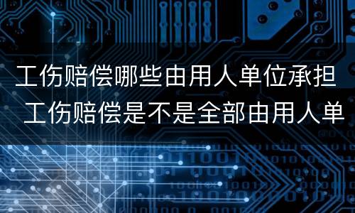 工伤赔偿哪些由用人单位承担 工伤赔偿是不是全部由用人单位赔偿