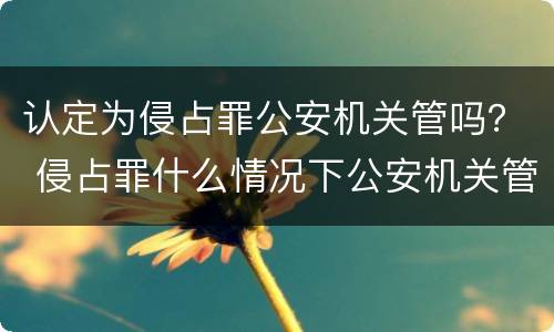 认定为侵占罪公安机关管吗？ 侵占罪什么情况下公安机关管