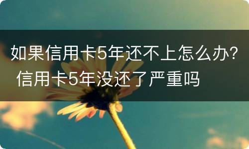 如果信用卡5年还不上怎么办？ 信用卡5年没还了严重吗