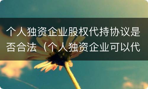 个人独资企业股权代持协议是否合法（个人独资企业可以代持吗）