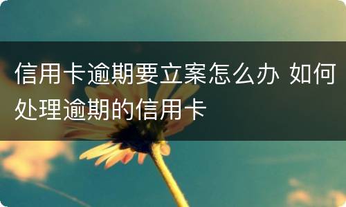 信用卡逾期要立案怎么办 如何处理逾期的信用卡