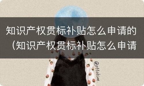知识产权贯标补贴怎么申请的（知识产权贯标补贴怎么申请的呢）