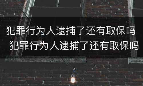 犯罪行为人逮捕了还有取保吗 犯罪行为人逮捕了还有取保吗