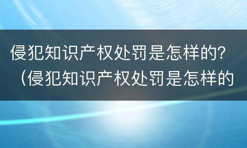 侵犯知识产权处罚是怎样的？（侵犯知识产权处罚是怎样的法律）
