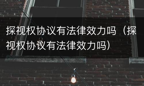 探视权协议有法律效力吗（探视权协议有法律效力吗）