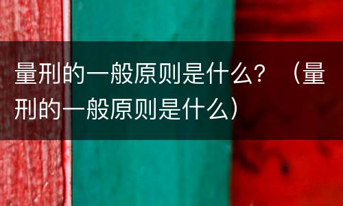 量刑的一般原则是什么？（量刑的一般原则是什么）