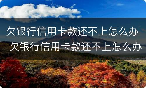 欠银行信用卡款还不上怎么办 欠银行信用卡款还不上怎么办呀