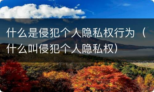 什么是侵犯个人隐私权行为（什么叫侵犯个人隐私权）